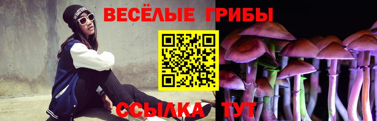 Псилоцибиновые грибы GOLDEN TEACHER Иваново